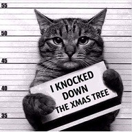 Guilty as charged. Caught in the act!